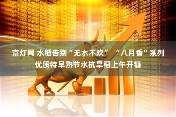 富灯网 水稻告别“无水不欢”  “八月香”系列优质特早熟节水抗旱稻上午开镰