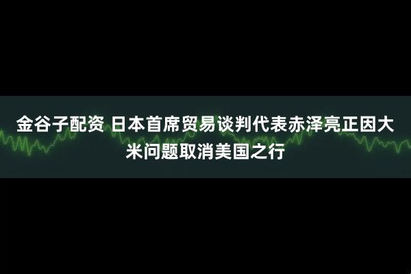 金谷子配资 日本首席贸易谈判代表赤泽亮正因大米问题取消美国之行