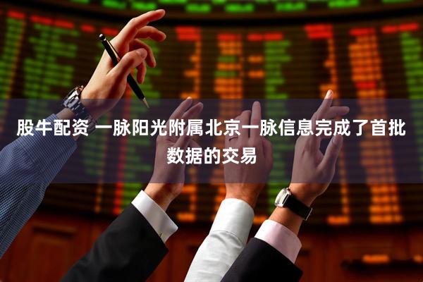 股牛配资 一脉阳光附属北京一脉信息完成了首批数据的交易