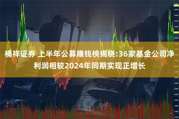 桶祥证券 上半年公募赚钱榜揭晓:36家基金公司净利润相较2024年同期实现正增长