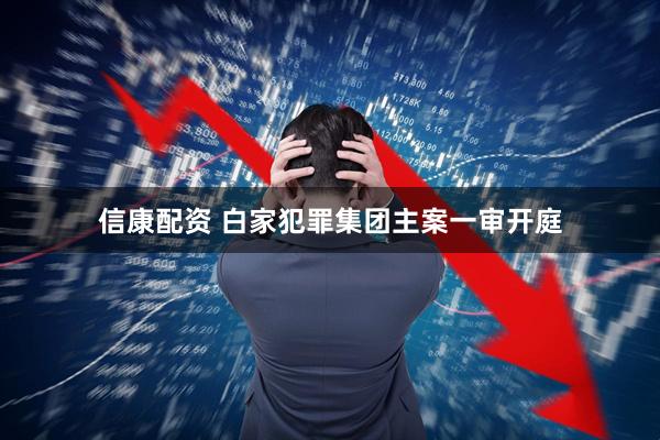 信康配资 白家犯罪集团主案一审开庭