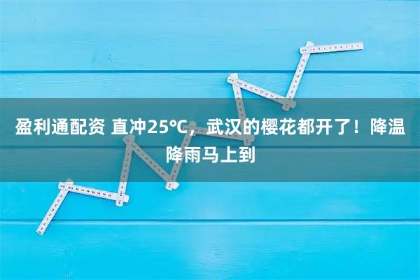 盈利通配资 直冲25℃，武汉的樱花都开了！降温降雨马上到
