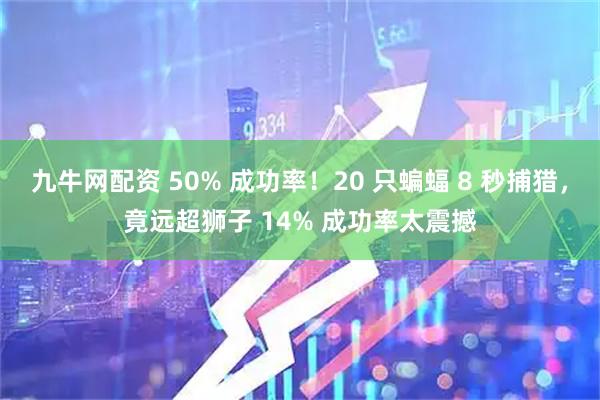 九牛网配资 50% 成功率！20 只蝙蝠 8 秒捕猎，竟远超狮子 14% 成功率太震撼